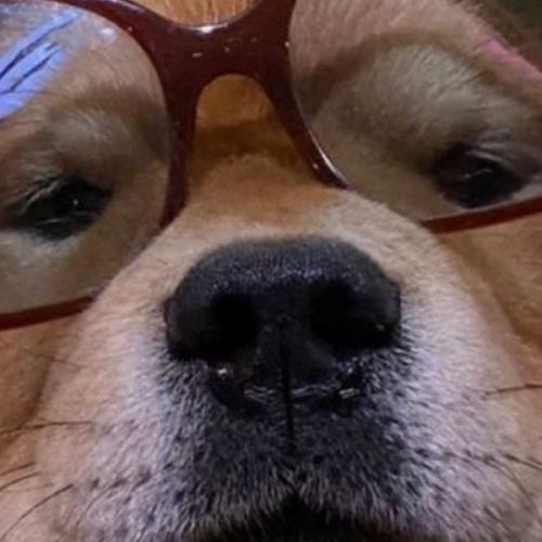 สมาชิกหมายเลข 6573127