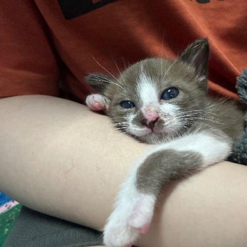 สมาชิกหมายเลข 7953751