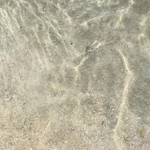 สมาชิกหมายเลข 8099634