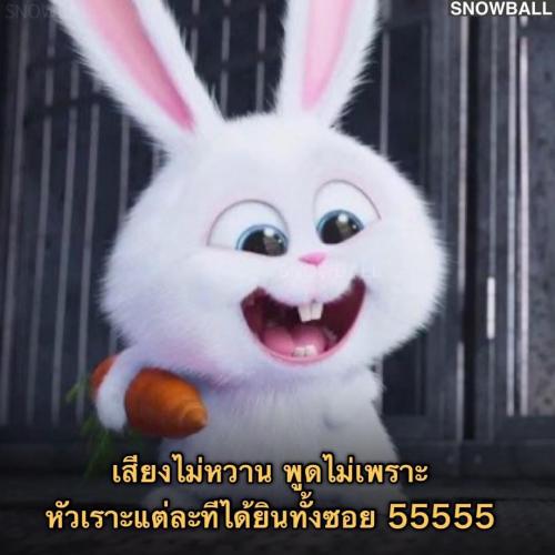 สมาชิกหมายเลข 8134642