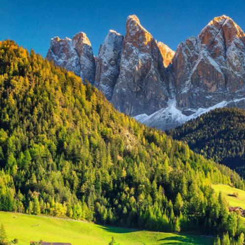 พรานดงดิบ