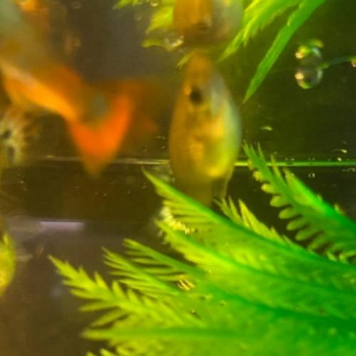 สมาชิกหมายเลข 6764972