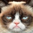 สมาชิกหมายเลข 3845221