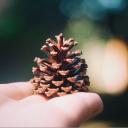 สมาชิกหมายเลข 3797844