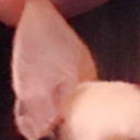 สมาชิกหมายเลข 4687556