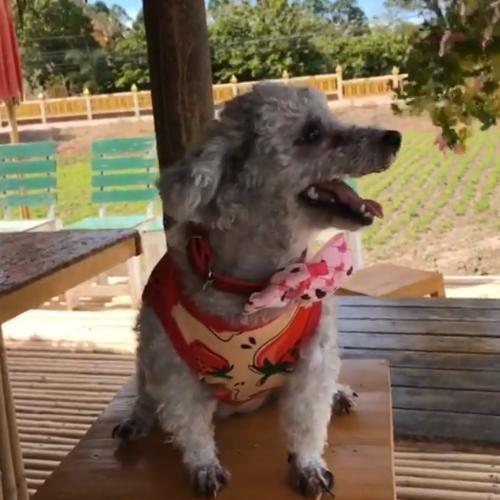 สมาชิกหมายเลข 2651922