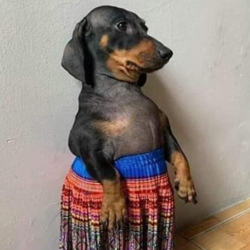 สมาชิกหมายเลข 5446722