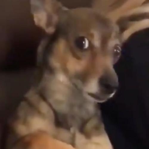 สมาชิกหมายเลข 4963953