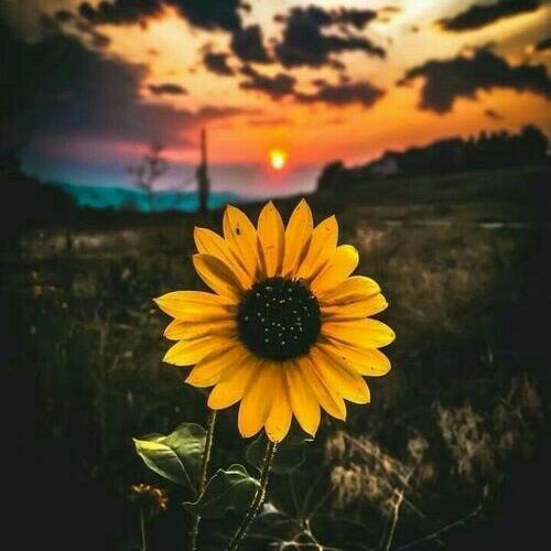 สมาชิกหมายเลข 5967330