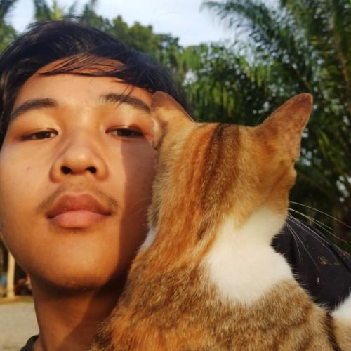 สมาชิกหมายเลข 4809729