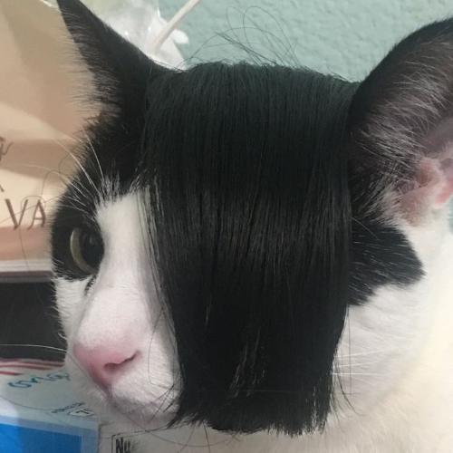 สมาชิกหมายเลข 5991621