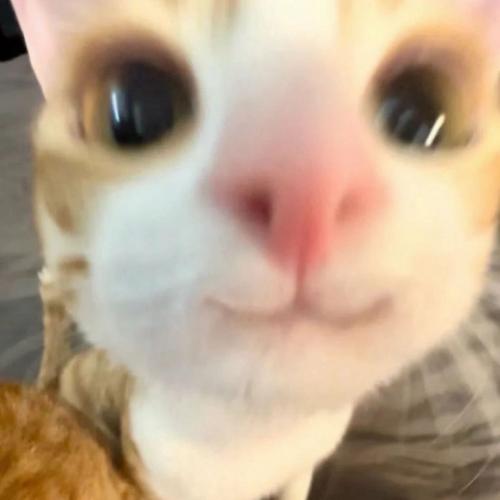 สมาชิกหมายเลข 6665468