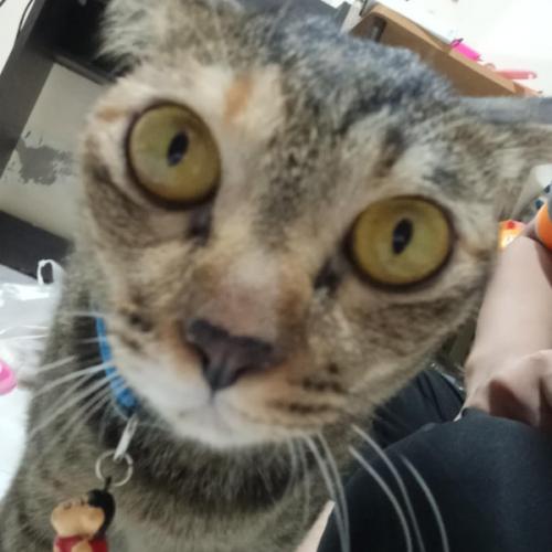 สมาชิกหมายเลข 5876791