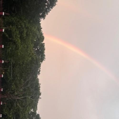 สมาชิกหมายเลข 9176667