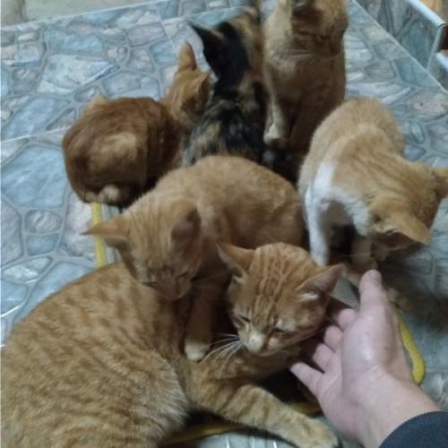 สมาชิกหมายเลข 5054011