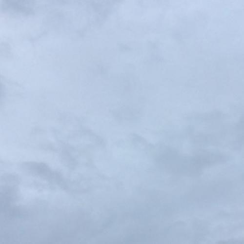 สมาชิกหมายเลข 2263489