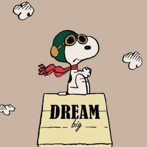 สมาชิกหมายเลข 5074401