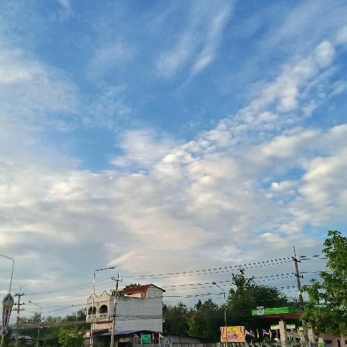 สมาชิกหมายเลข 5433484