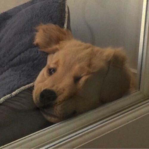 สมาชิกหมายเลข 5042545