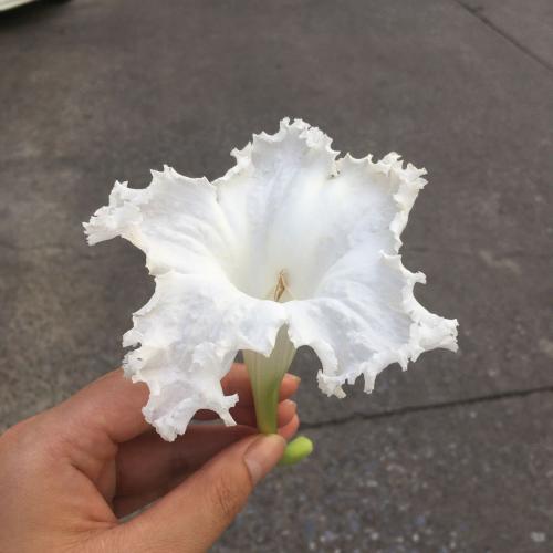 สมาชิกหมายเลข 1971661