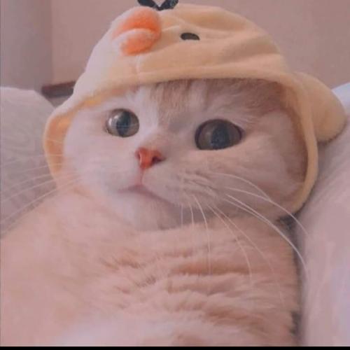 สมาชิกหมายเลข 6574378