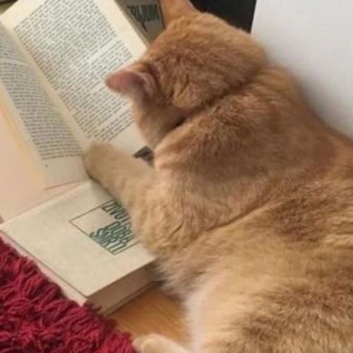 สมาชิกหมายเลข 6574648