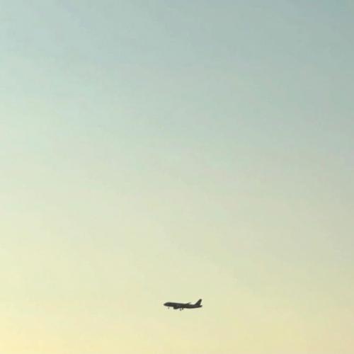 สมาชิกหมายเลข 8136539