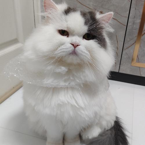 สมาชิกหมายเลข 6500010