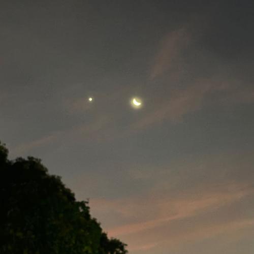 สมาชิกหมายเลข 7445832