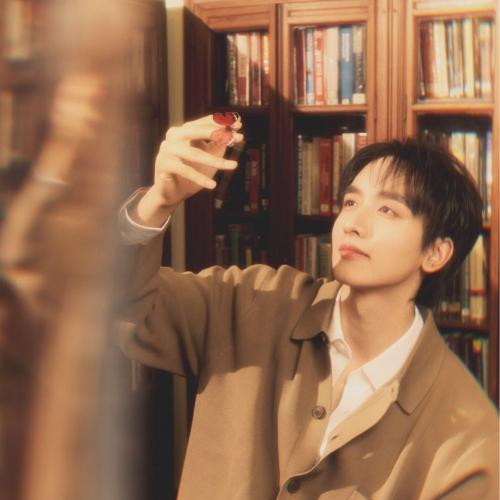 สมาชิกหมายเลข 8031396