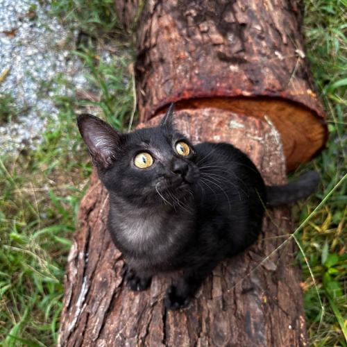 สมาชิกหมายเลข 8414631