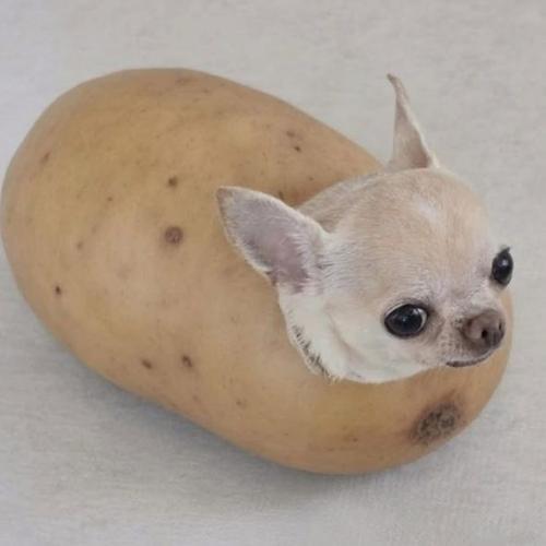 สมาชิกหมายเลข 9177222