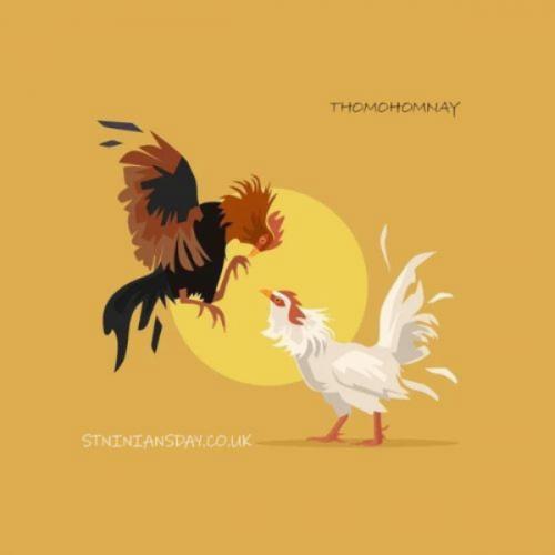 สมาชิกหมายเลข 9177541