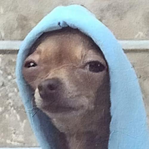 สมาชิกหมายเลข 9177763