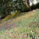 สมาชิกหมายเลข 2999388