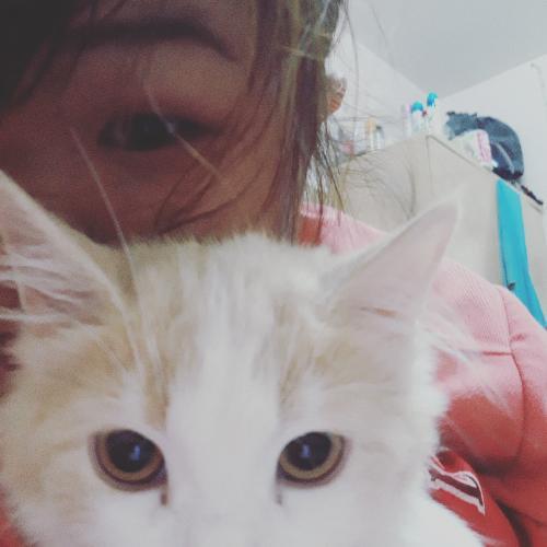 สมาชิกหมายเลข 4829282