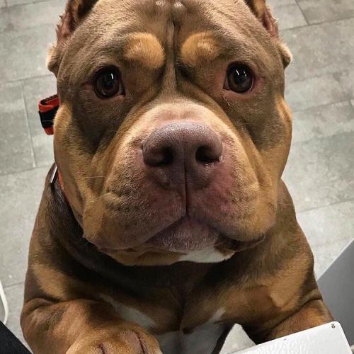 สมาชิกหมายเลข 5447455