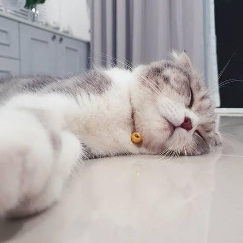 สมาชิกหมายเลข 5500682