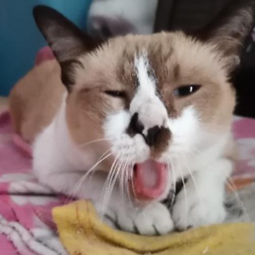 สมาชิกหมายเลข 6575166