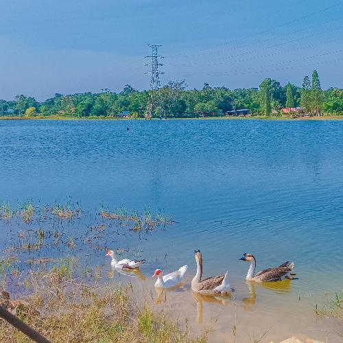 สมาชิกหมายเลข 4176778