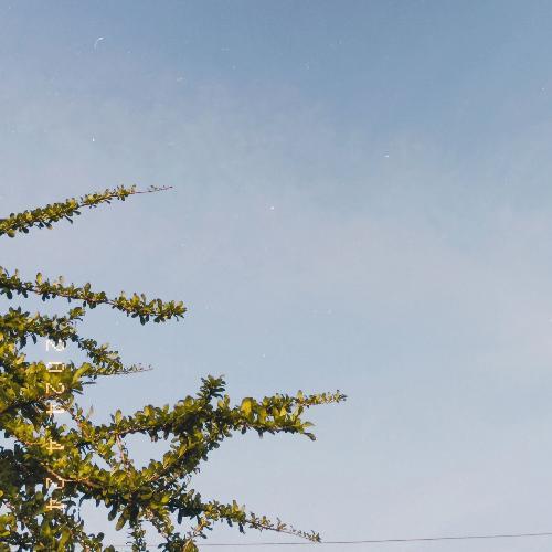 สมาชิกหมายเลข 7458810