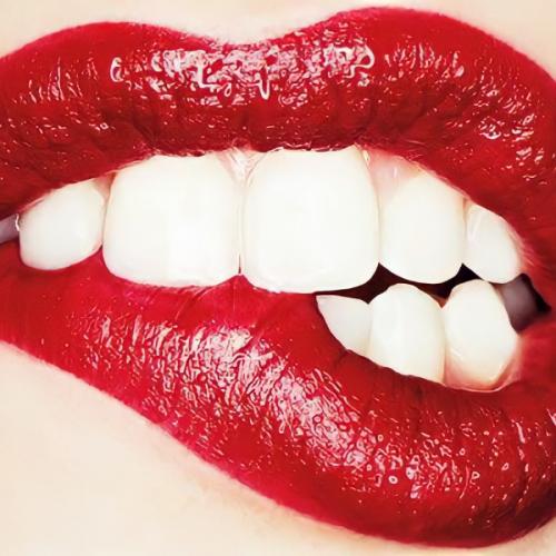 สมาชิกหมายเลข 8135292