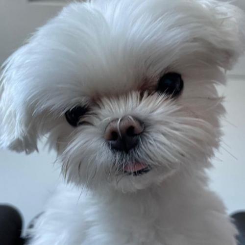 ท้องฟ้าสีขาว