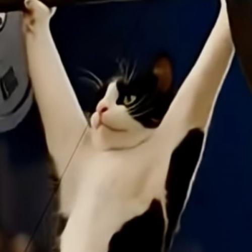 สมาชิกหมายเลข 5182448