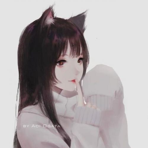 สมาชิกหมายเลข 5054881