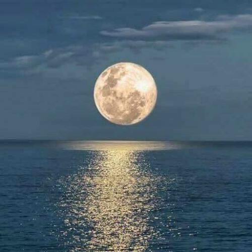 สมาชิกหมายเลข 5447798