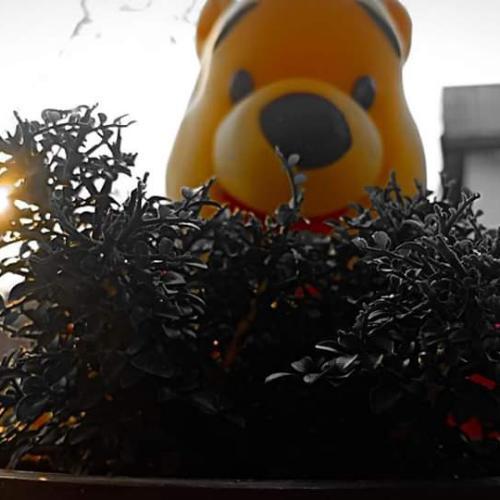 สมาชิกหมายเลข 4857722