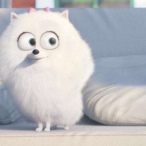 สมาชิกหมายเลข 5963714