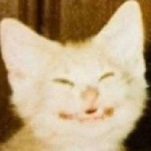 สมาชิกหมายเลข 6552570