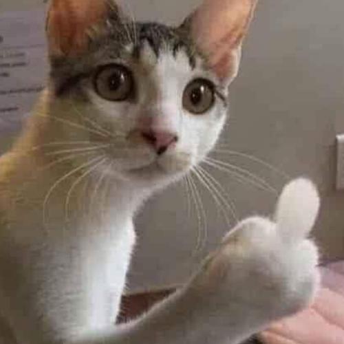 สมาชิกหมายเลข 6433099